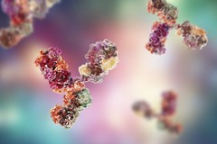 Anticorpi monoclonali: cosa sono e perché possono aiutare a combattere il Covid-19?