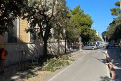 Glifosate nel verde pubblico? La Garden Design e l'assessore Depalo replicano a PVA