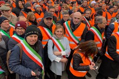 Depalma risponde a Gemmato: «Pronto ad andare a Roma per contrasto alla xylella»