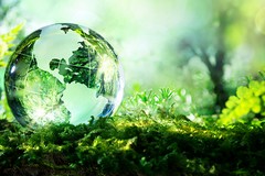 Alla Chiesa del Carmine una mostra sulla biodiversità