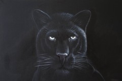 Fabio Pellicano in mostra alla Vedetta sul Mediterraneo