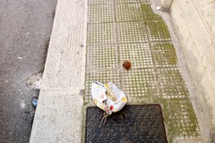 Escrementi umani in via Felice Leoni: i residenti si ribellano
