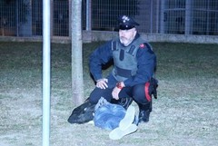 L'inseguimento di due auto finisce con un conflitto a fuoco