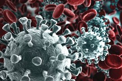 Coronavirus, negativi tutti i casi sospetti soggetti ieri ad accertamenti