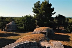 L'Info Point Giovinazzo organizza il solstizio d'estate al Dolmen di San Silvestro