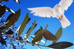 Domenica delle Palme: il programma liturgico nelle parrocchie di Giovinazzo