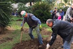 La Festa dell'Albero alla "San Giovanni Bosco": LE FOTO e tutte le emozioni