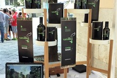 L'azienda olivicola dei fratelli Turturro al Festival Italiano di Aerografia