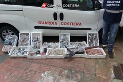 Pesce spada, merluzzi e gamberi senza provenienza: sequestro e multa