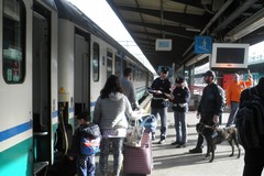 Operazione "Rail Action Day-Active Shield": 813 persone identificate
