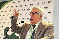 Olio d’oliva, scandalo da 180 milioni di euro. Sicolo: “Danni per l’Italia”