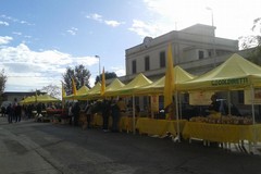 Campagna amica torna a Giovinazzo