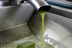 L'olio extravergine d'oliva di Giovinazzo conquista i mercati
