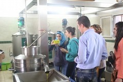 La produzione di olio materia di studio per studenti stranieri