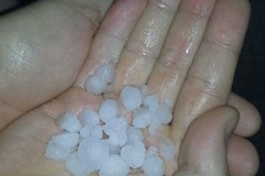 Forte grandinata all'alba: problemi alle colture, pochi danni lungo la costa