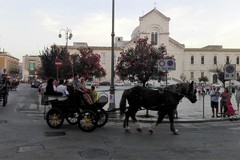 Oggi c'è la sfilata di cavalli, traini e carrozze