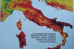 Riscaldamento globale, gli Amici dell'Ambiente chiedono la piantumazione di nuovi alberi