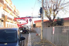 Nessun espianto di alberi alla "Papa Giovanni XXIII"
