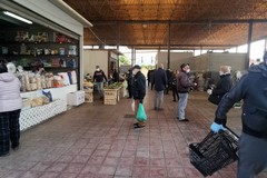 Il bollettino serale di Depalma: accesso al mercato giornaliero contingentato