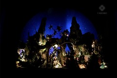 Domani sera s'inaugura il presepe artistico nella Concattedrale di Giovinazzo
