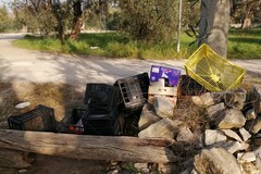 Scarti della vendita di ortofrutta: è scempio in località Casino della Principessa a Giovinazzo