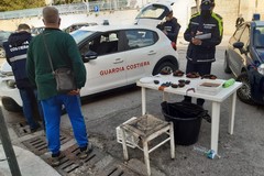 Banchetto abusivo, sequestrati 200 ricci: sanzioni sino a 10mila euro