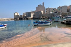 Chiazze rossastre in mare a Giovinazzo. Ma è un'alga non dannosa