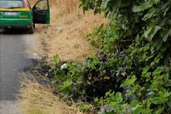 Trovati alcuni fusti di olio esausto a Cola Olidda