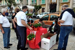 Il cuore grande dei volontari di Giovinazzo per la lotta alla Sclerosi Multipla