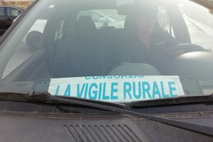 Da Giovinazzo a Bitonto per rubare le cicorie: preso