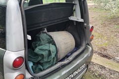 Scoperta in campagna l'attrezzatura del perfetto ladro di olive