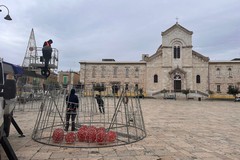 In piazza Vittorio Emanuele II montato il grande albero di Natale