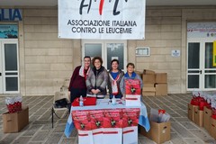 Stelle di Natale AIL, i giovinazzesi rispondono "presente"