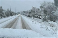 Fiocchi all'alba anche a Giovinazzo. La situazione neve nel Barese