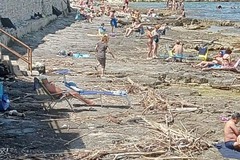 Domenica al mare... tra i tronchi della Romagna