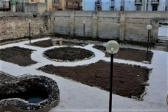 Inaugurato a Giovinazzo l'Orto Solidale