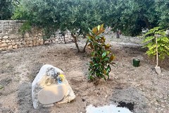 La famiglia Vincenziana nel ricordo di suor Cecilia e suor Giuseppina