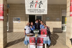 Stelle di Natale AIL, Giovinazzo sostiene convintamente la ricerca
