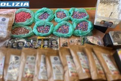 Sequestro droga a Giovinazzo, PVA: «Una pessima notizia»