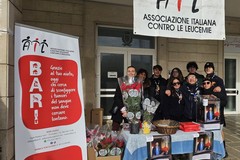 L'AIL Giovinazzo dona Stelle di Natale alle cinque parrocchie