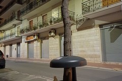 Albero vandalizzato su via Marconi e lasciato in un cestino portarifiuti