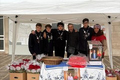 Stelle di Natale AIL, i dati della vendita a Giovinazzo
