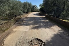 La richiesta d'aiuto degli agricoltori: «Troppe buche sulle strade rurali di Giovinazzo»