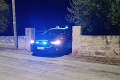 Cadavere trovato nei campi a Giovinazzo, disposta l'autopsia