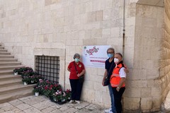 Lotta alla sclerodermia, Giovinazzo ha celebrato la Giornata del Ciclamino
