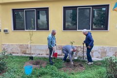 Giornata Nazionale Alberi, grande festa alla "Bosco-Buonarroti"