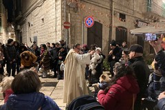 Sant'Antonio Abate, ieri la tradizionale benedizione degli animali - FOTO