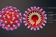 12 domande sui vaccini per il Covid-19