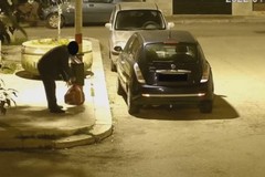 Le fototrappole incastrano gli incivili: multe fino a 500 euro