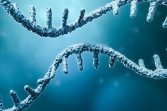 RNA auto-amplificanti: i vaccini del futuro contro le malattie infettive
